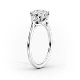VVS1 Moissanite Oval & Round Cut Three Stone Wedding Ring