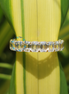 Emerald Cut Lab Grown Diamond Eternity Band