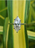 3 Carat Marquise Cut Lab Grown Diamond Ring