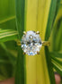 Lab Grown 6 Carat Oval Cut Hidden Halo Engagement Ring