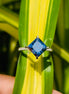 Lab Grown Diamond Blue Princess Cut Wedding Ring For Women