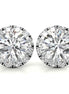 Three Prong Set Moissanite Round Cut Halo Earrings in White Gold