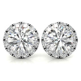 Three Prong Set Moissanite Round Cut Halo Earrings in White Gold