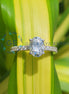 EF Color VVS2/VS1 Clarity Lab Grown Oval Cut Diamond Ring