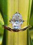 Oval Cut Solitaire Wedding Ring For Women