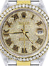 Automatic Roman Numeric Stainless Steel Wrist Watch