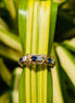 Round Cut Full Eternity Ring Blue Lab Grown Diamond Wedding Band