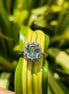 Halo Style Yellow Gold Unique Cut For Women