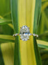 Lab Grown Oval Cut Yellow Gold Engagement Ring