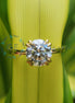 1.3CT Round Cut Lab Grown Diamond Solitaire Promise Ring
