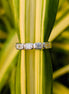 Bezel Set White Gold Radiant Cut Wedding Band For Women
