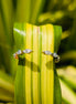 Open Cuff Lab Grown Diamond Marquise Cut Wedding Band