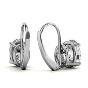 Minimalist Oval Cut Moissanite Hoop Earrings