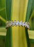 Marquise Cut Lab Grown Full Eternity Band Promise Band