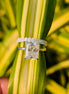 VVS1 Lab Grown Diamond Radiant Cut Hidden Halo Ring