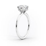 Princess Cut Hidden Accent Moissanite Ring For Women
