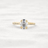 Double Claw Prong Oval Cut Pave Set Moissanite Diamond Ring