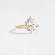 Oval Cut Floral Halo Moissanite Wedding Proposal Ring