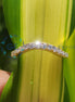 Chevron Style Round Cut Yellow Gold Band