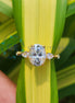 14K Yellow Gold Oval Cut Hidden Halo Ring