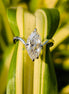 Marquise Cut Solitaire Diamond Ring