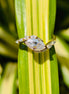 East To West Marquise Cut Lab Grown Diamond Engagement Ring