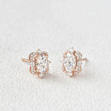 Oval Cut Moissanite Diamond Halo Stud Back Earrings