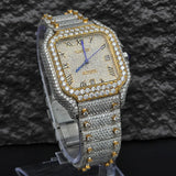 Dashing Two Color Completely Moissanite Diamond Watch